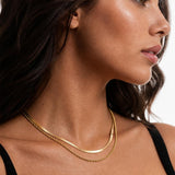 Layered Double Chain Necklace