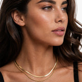 Layered Double Chain Necklace